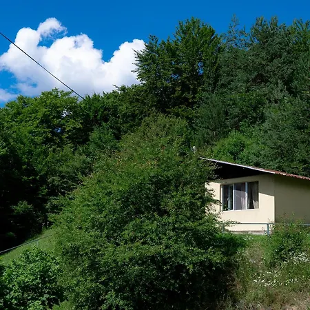 семеен изгрев * Chiflik (Lovech)